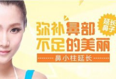 广东鼻小柱延长费用需要多少