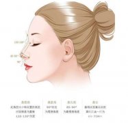 鼻翼内切的原理是什么？切口在哪里？
