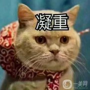 副乳祛除手术痛吗？价格是多少？术后如何护理？