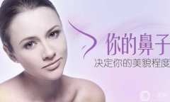 双美胶原蛋白注射隆鼻果怎么样？图有吗？