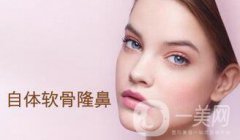 自体软骨隆鼻好吗 自体软骨隆鼻术价位