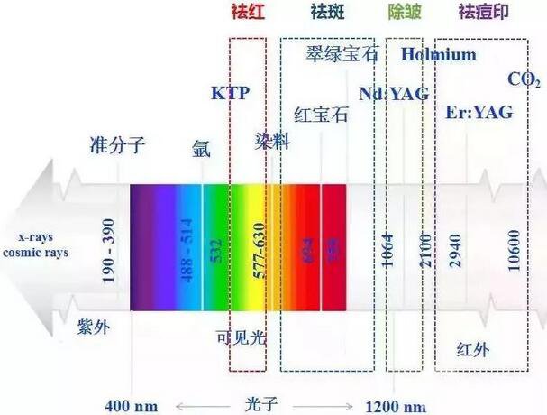 王文