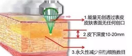 白俊杰