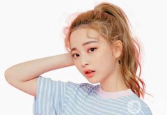 绣眉的价格是多少 绣眉果图