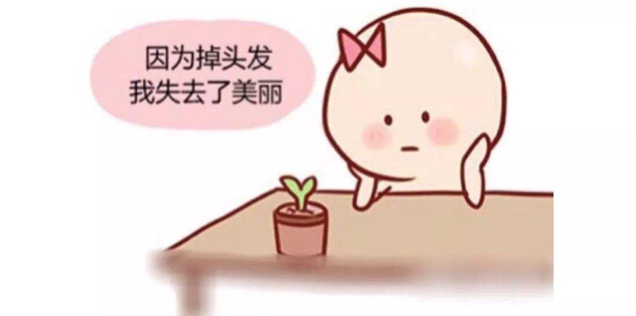 怎样调节脱发 脱发的原因是什么