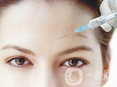 瑞兰2号多少钱一支?价格详细分析