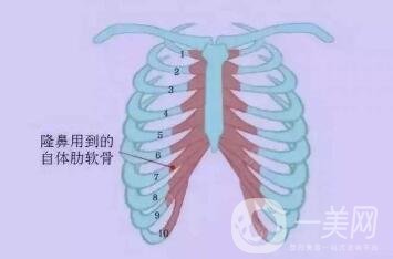 肋软骨隆鼻为什么老受推荐？到底好在哪里？