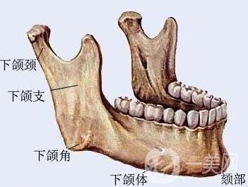 磨下颌角价格是不是很贵？一般要多少钱？