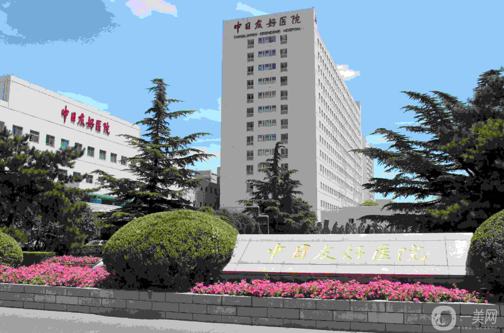 中日友好醫院擅長的科室(今天/掛號資訊)的簡單介紹
