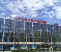 2022武汉整形医院强（公立私立）