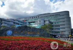 深圳排整形医院：家家都是口碑保障，你值得相信的选择！