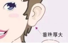 丰耳垂的注意事项及好处、坏处？