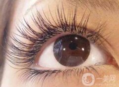 种植睫毛会有什么危害？需要多少钱？