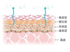 皮肤粗糙的原因是什么?6种嫩肤方法详解