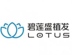 碧莲盛植发医院全国有多少家？盘点植发技术、资质、医生等！