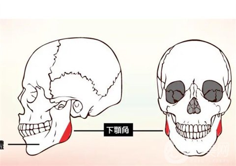 上海九院沈国芳下颌角磨骨手术，V-line瓜子脸成形术日记分享