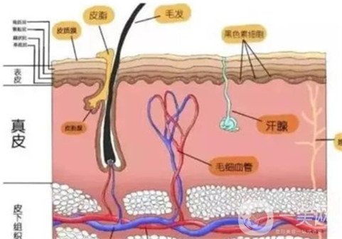 合肥华美王志军自体脂肪填充全脸整形案例分享，年轻十岁不是梦！