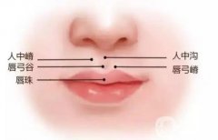 自体脂肪丰唇怎么样，效果可以持续多久