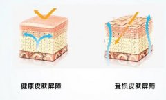 初秋养肤：理解并修复皮肤屏障