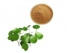 植物提取成分：护肤功效与产品推荐