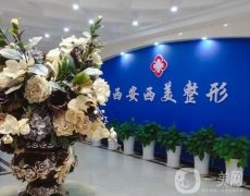 西安十大整形医院榜单！2024医美十强花落谁家，这篇大公开！