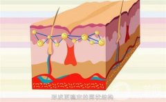 玻尿酸填充泪沟的价格因素有哪些？