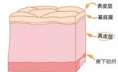 玻尿酸注射多少次才能永久保持效果