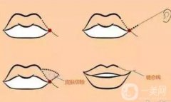 嘟嘟唇好看还是花瓣唇好看