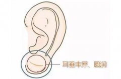 玻尿酸丰耳垂适合什么年龄？