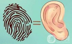 玻尿酸丰耳垂有哪些优势？效果如何