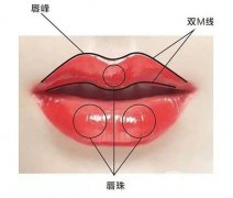 唇系带整形手术的步骤是怎么样的