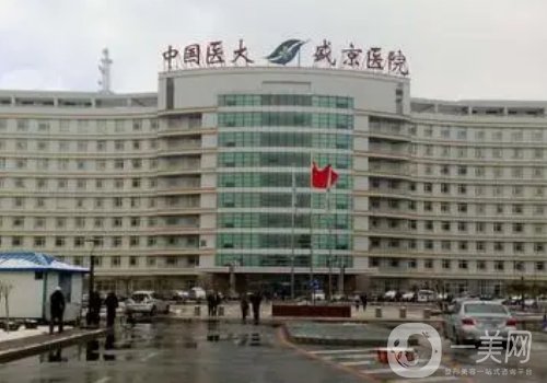 沈阳盛京医院整形外科哪个医生好?高口碑医生信息一览
