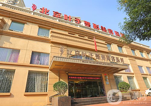 北京叶子和丽都哪个好?2025医院实力对比一览