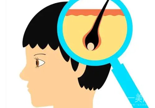 上海植发医院排名和价格分享|有没有心仪医院?