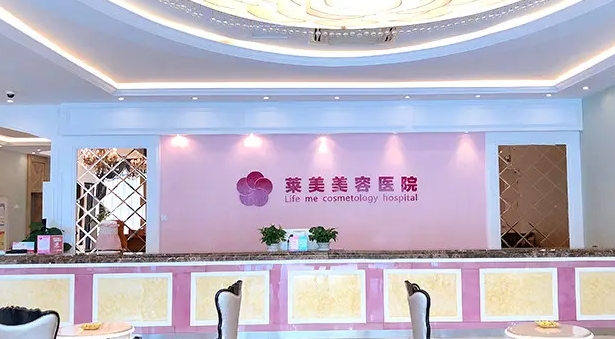 莱美.jpg