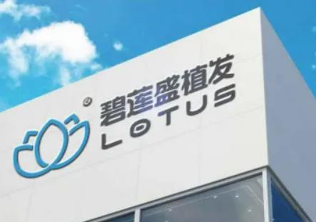 2024湖南植发医院排名榜前五测评！大麦第三_碧莲盛锁定榜一